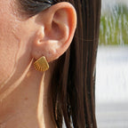 Golden Shell Studs
